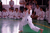 siroj (128)_samu.gif